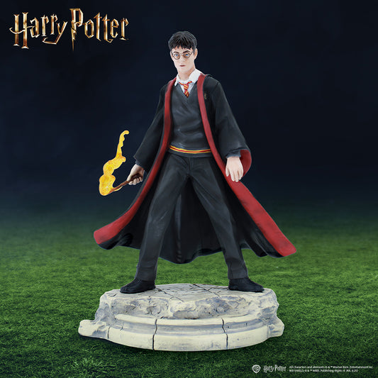 Harry Potter Year 6 Statue