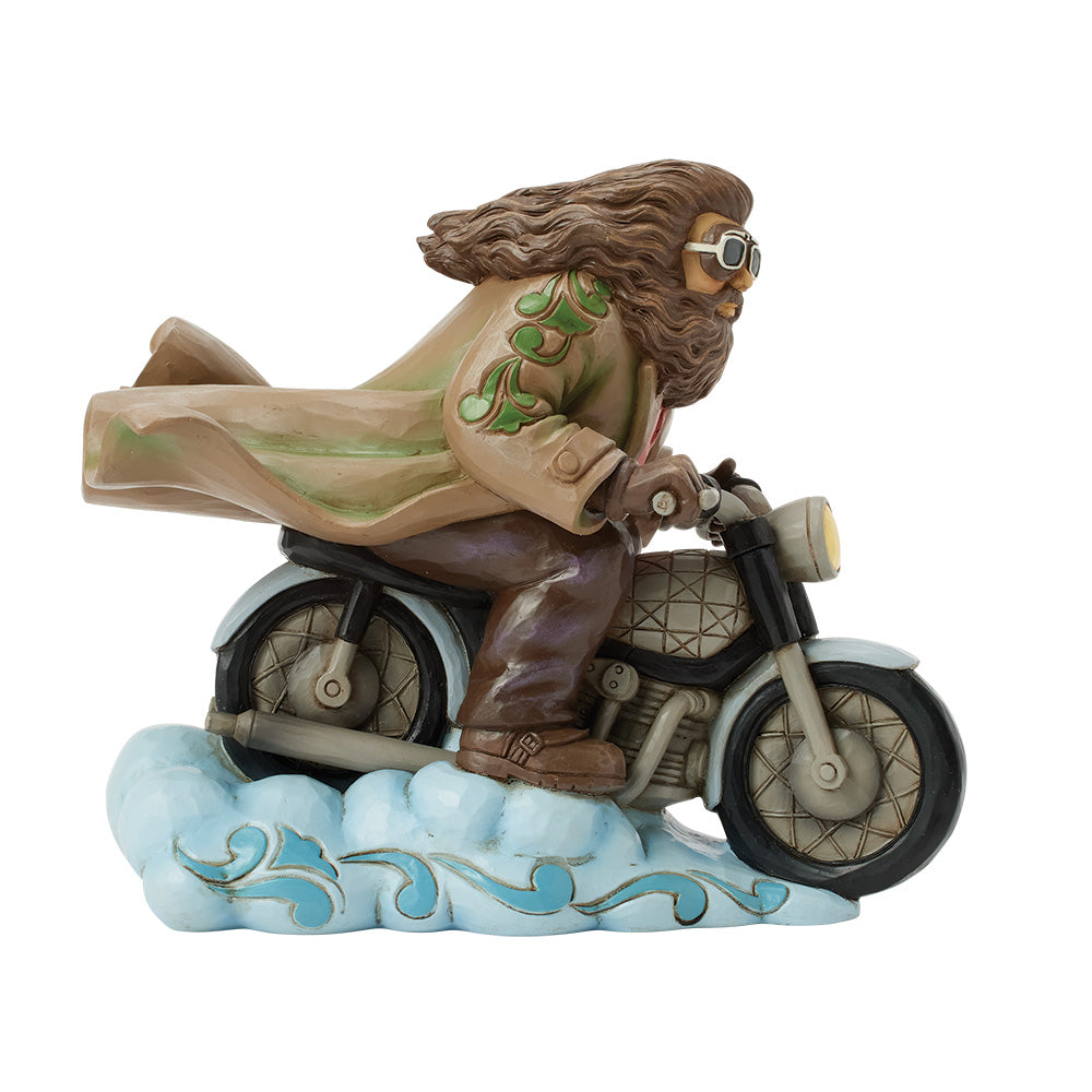 Hagrid On Bike