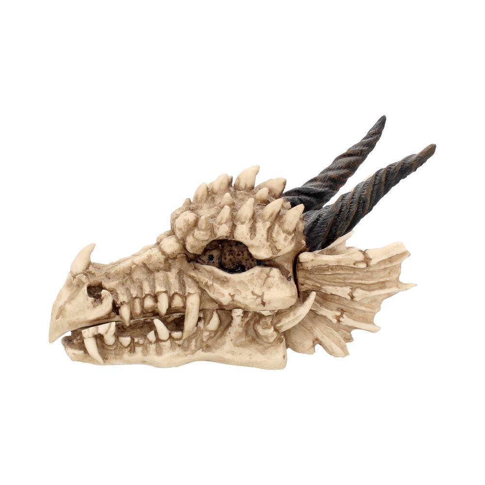 Dragon Skull Box - Gallery Gifts Online