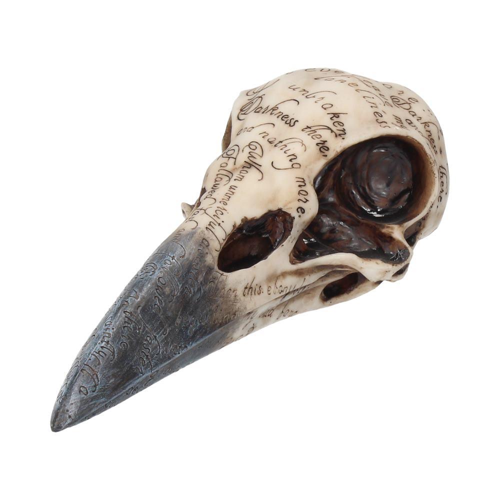 Edgar's Raven Skull (Nemesis Now) - Gallery Gifts Online