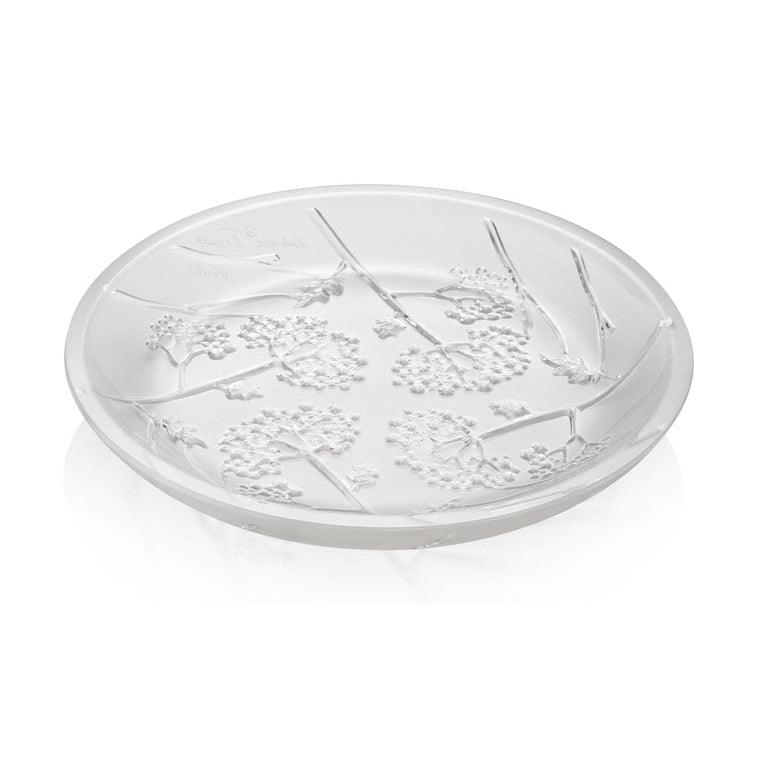 Ombelles Flat Small Bowl (Lalique) - Gallery Gifts Online