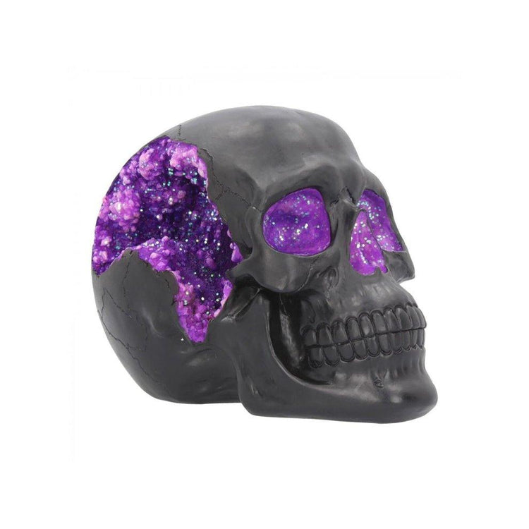 Skulls and Skeletons - Gallery Gifts Online 