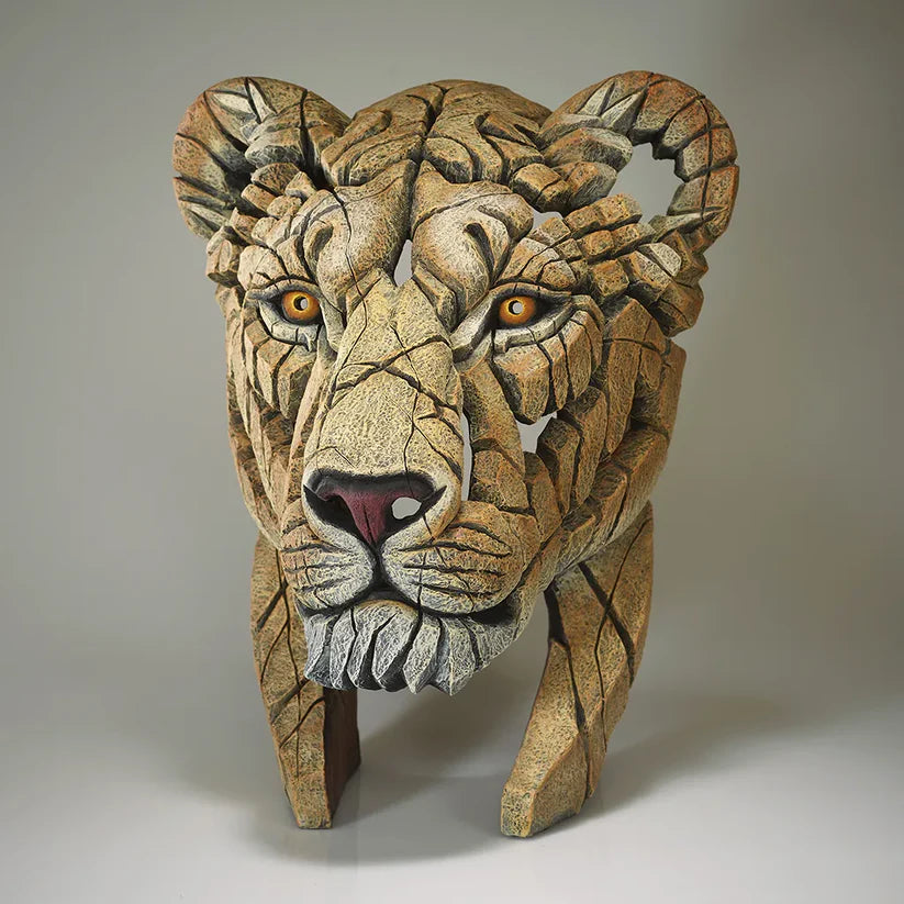 Yuna The Lioness Sculpture (Edge Sculpture by Matt Buckley)