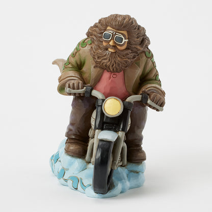 Hagrid On Bike