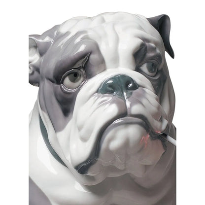 Bulldog With Lollipop Dog Figurine (Lladro Special Order)