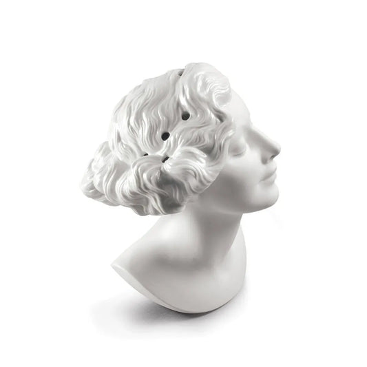 Daisy Woman Bust Vase (Lladro Special Order)