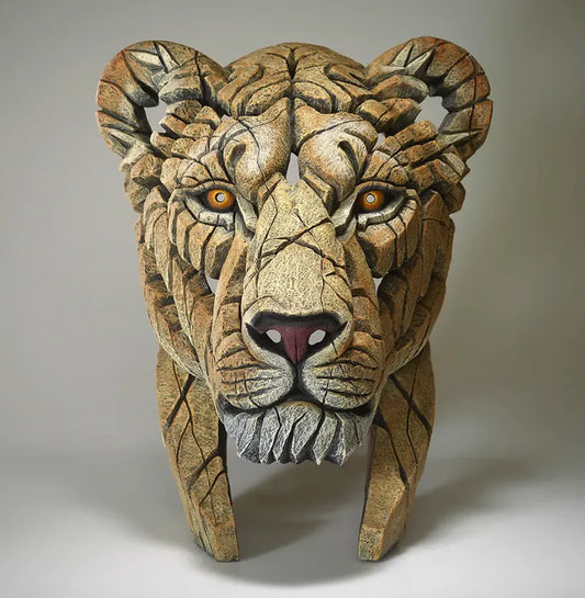 Yuna The Lioness Sculpture - PRE ORDER (Edge Sculpture by Matt Buckley)