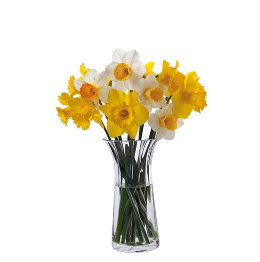 Daffodil Vase (Dartington Crystal)