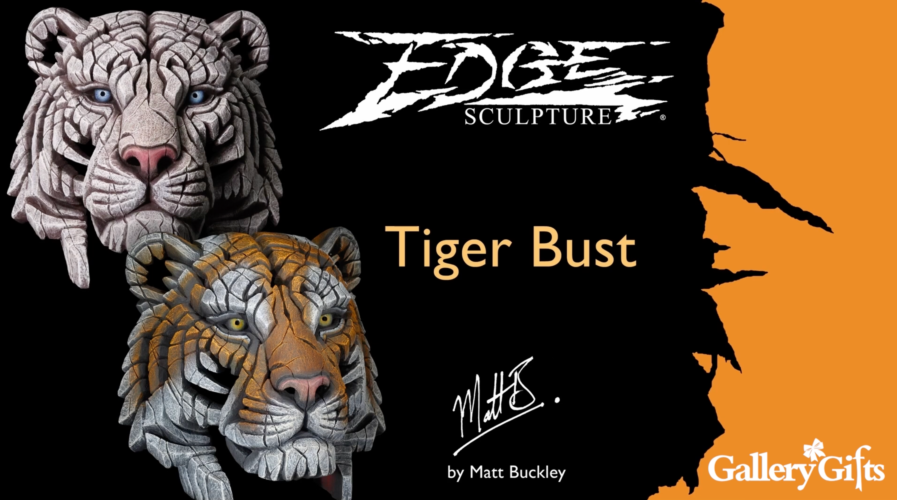 Load video: Edge Sculpture by Matt Buckley - Tiger Bust - Gallery Gifts Online