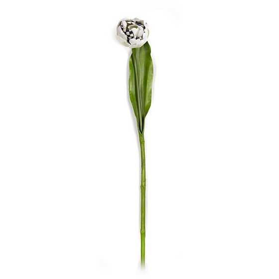 Courtly Check Parrot Tulip - Ivory (Mackenzie Childs) - Gallery Gifts Online 