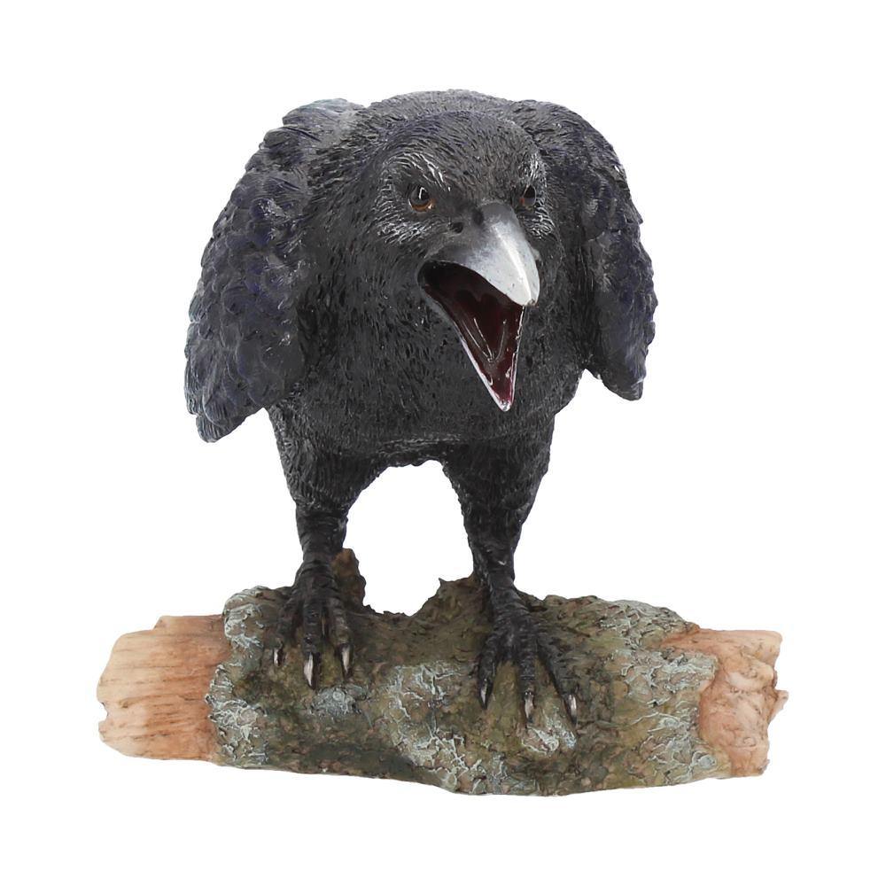 Raven's Call (Nemesis Now) - Gallery Gifts Online 