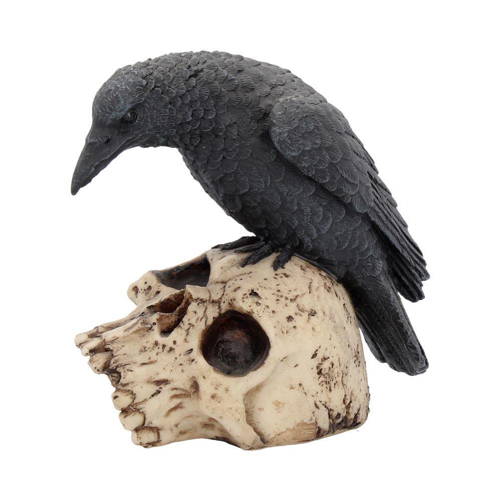 Ravens Remains (Nemesis Now) - Gallery Gifts Online 