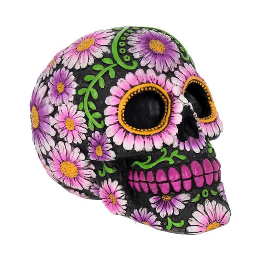 Sugar Petal Skull (Nemesis Now) - Gallery Gifts Online 